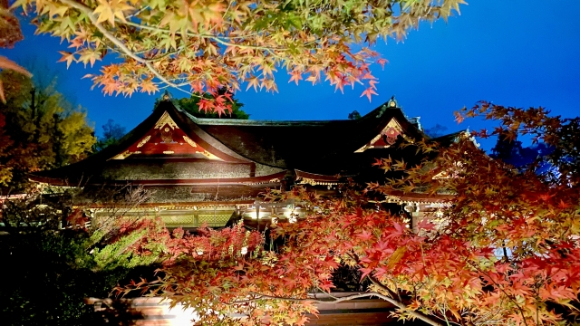 着物で行きたい！秋の京都の紅葉スポットを紹介
