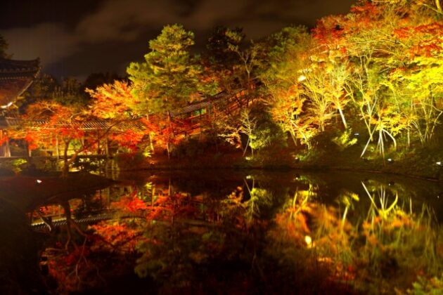 紅葉_高台寺