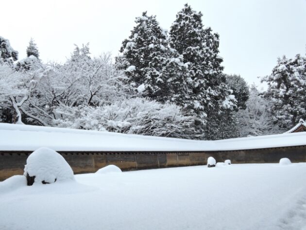 雪の龍安寺