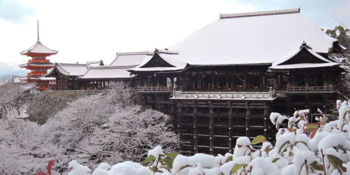 雪の清水寺も素敵