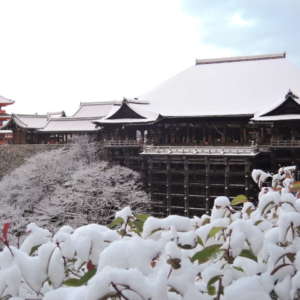 雪が積もる清水寺