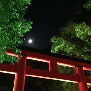 下鴨神社鳥居