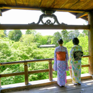 東福寺通天橋から着物姿で青モミジを眺める様子